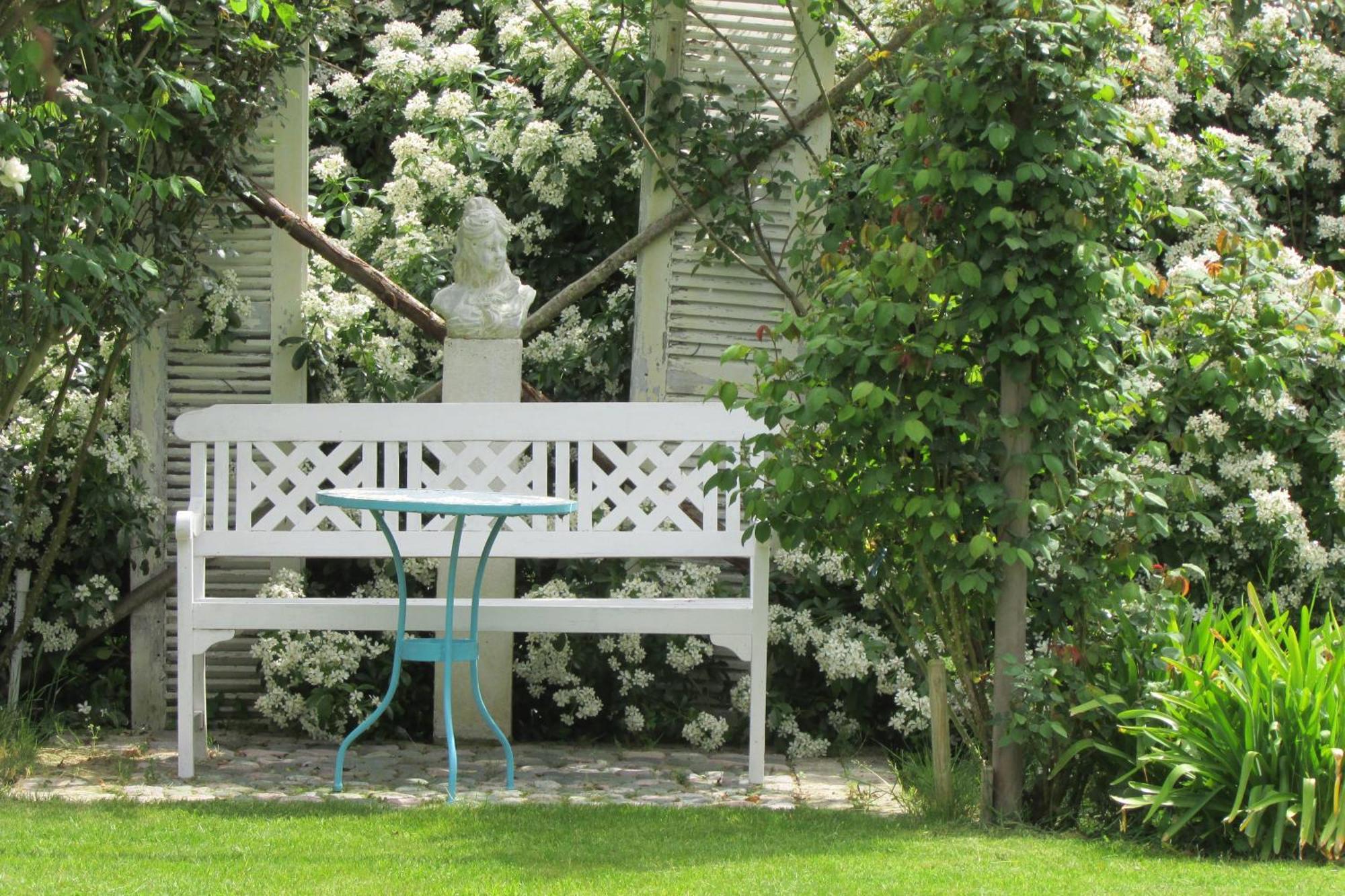 Bed and Breakfast L'Agapanthe à Pleneuf-Val-Andre Extérieur photo